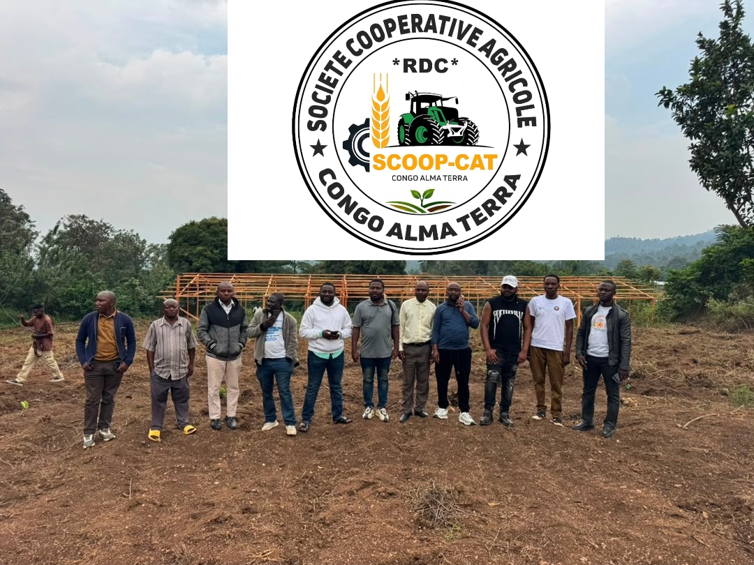 Beni : Congo Alma Terra mise sur le cannabis médicinal pour créer des emplois et sauver des vies